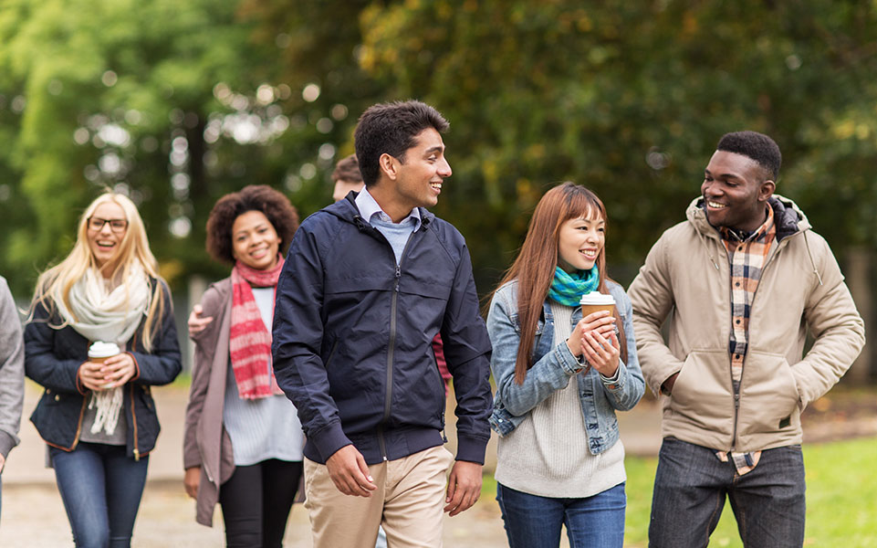 A group of international students walking in a park