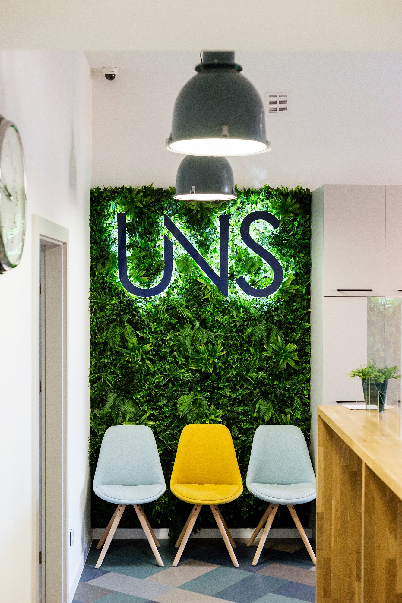 Zdjęcie zielonej ściany w Rektoracie UNS przed którą stoją 3 krzesła